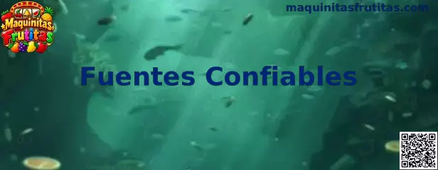 Verificación de fuentes confiables y seguridad informática en Maquinitas Frutitas