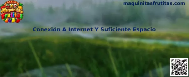 Conexión A Internet Y Suficiente Espacio